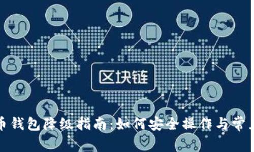 数字人民币钱包降级指南：如何安全操作与常见问题解答