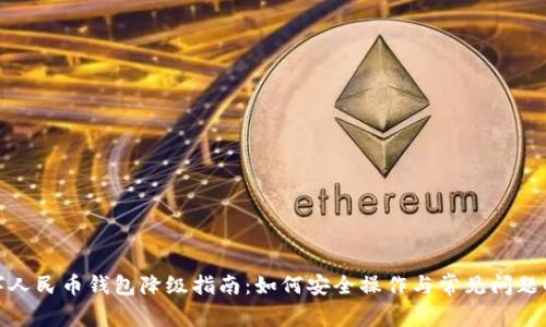 数字人民币钱包降级指南：如何安全操作与常见问题解答