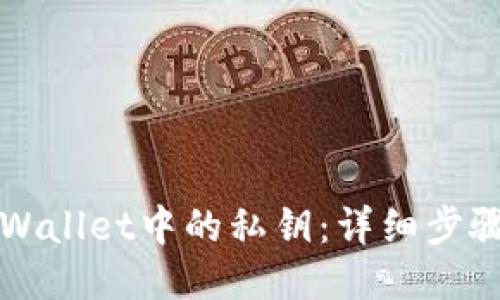 如何查看TPWallet中的私钥：详细步骤与安全提示
