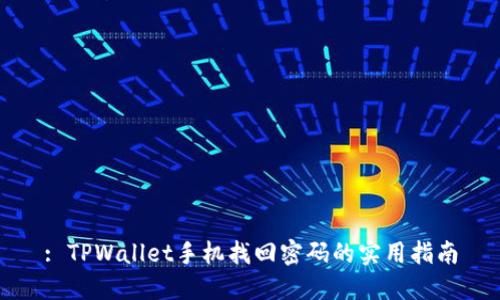 : TPWallet手机找回密码的实用指南