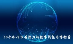 10个冷门但有潜力的数字钱包名字推荐
