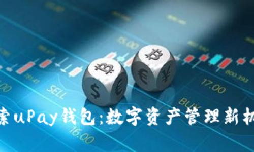 探索uPay钱包：数字资产管理新机遇