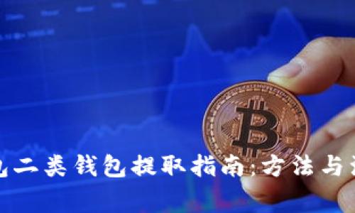 数字钱包二类钱包提取指南：方法与注意事项