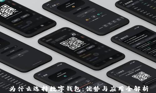 
为什么选择数字钱包：优势与应用全解析