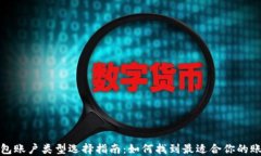数字钱包账户类型选择指南：如何找到最适合你