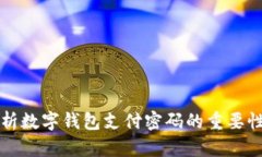 全面解析数字钱包支付密码的重要性与功能