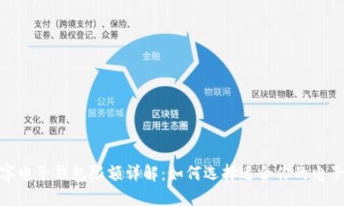 : 数字电子钱包限额详解：如何选择适合你的电子钱包