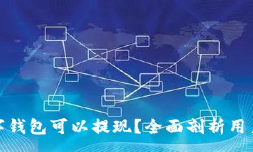 :
什么数字钱包可以提现？全面剖析用户的选择