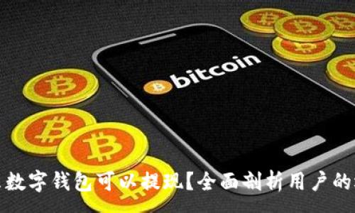 :
什么数字钱包可以提现？全面剖析用户的选择