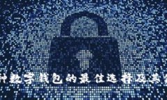 支持多种数字钱包的最佳选择及其优势分析