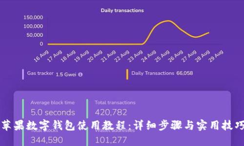 苹果数字钱包使用教程：详细步骤与实用技巧