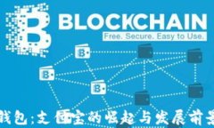 数字钱包：支付宝的崛起与发展前景分析