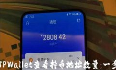 如何使用TPWallet查看持币地址数量：一步一步指南
