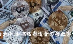 数字币钱包的大小：如何选择适合你的数字资产