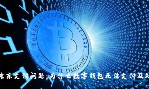 : 解决京东支付问题：为什么数字钱包无法支付及处理方法