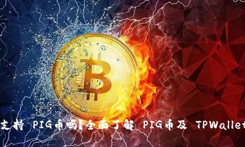 TPWallet 支持 PIG币吗？全面了解 PIG币及 TPWallet 的兼容性
