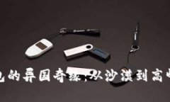 探索数字钱包的异国奇缘：从沙漠到高峰的金融